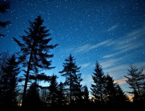 Master the Night Sky with Essential Astrophotography Tips