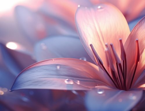 Master Macro Photography with Correct Camera Settings