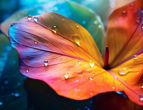 Mastering Macro Photography Composition: A Beginner’s Guide